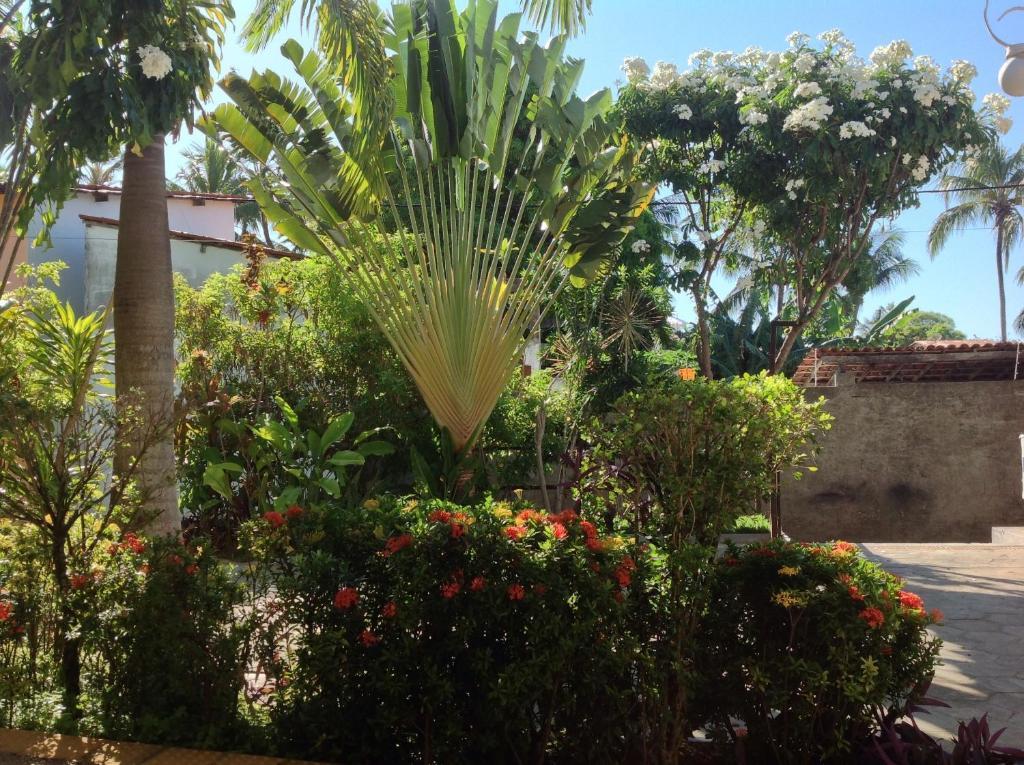 Apartamentos La Piazzetta Duplex Praia de Pipa المظهر الخارجي الصورة